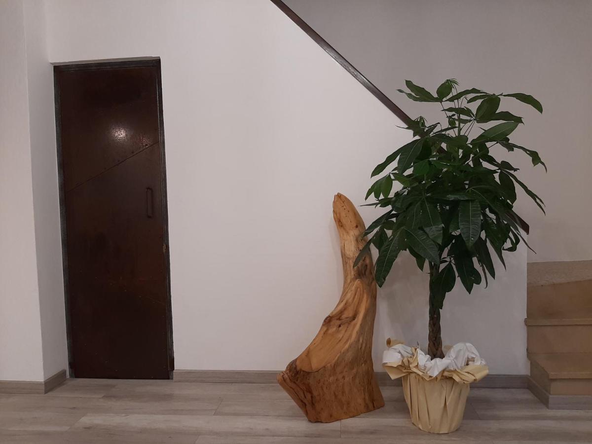 B&B Da Baba Ghizzano ภายนอก รูปภาพ
