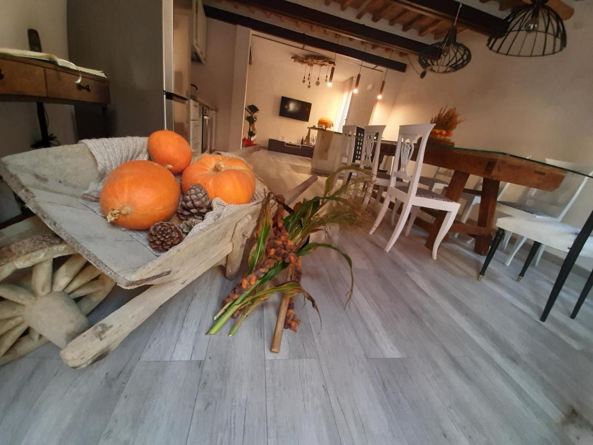 B&B Da Baba Ghizzano ภายนอก รูปภาพ